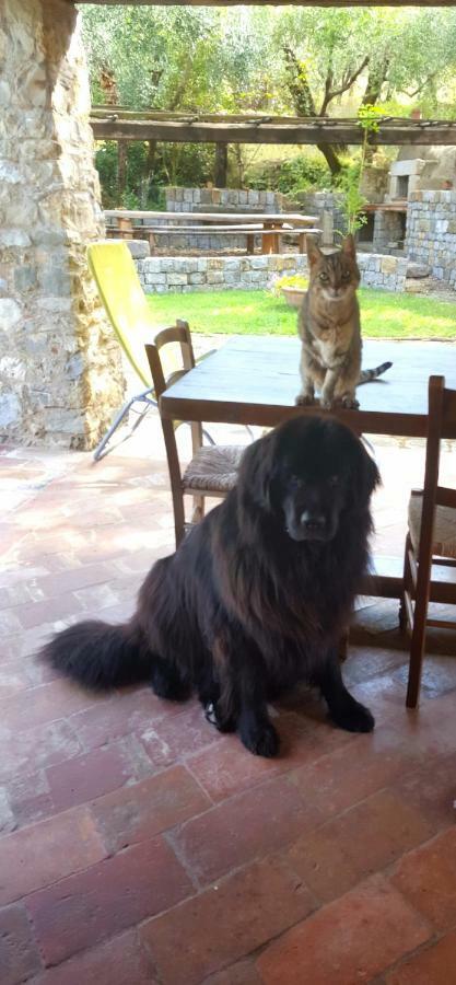 La Corte Del Falco Pieve a Nievole Luaran gambar
