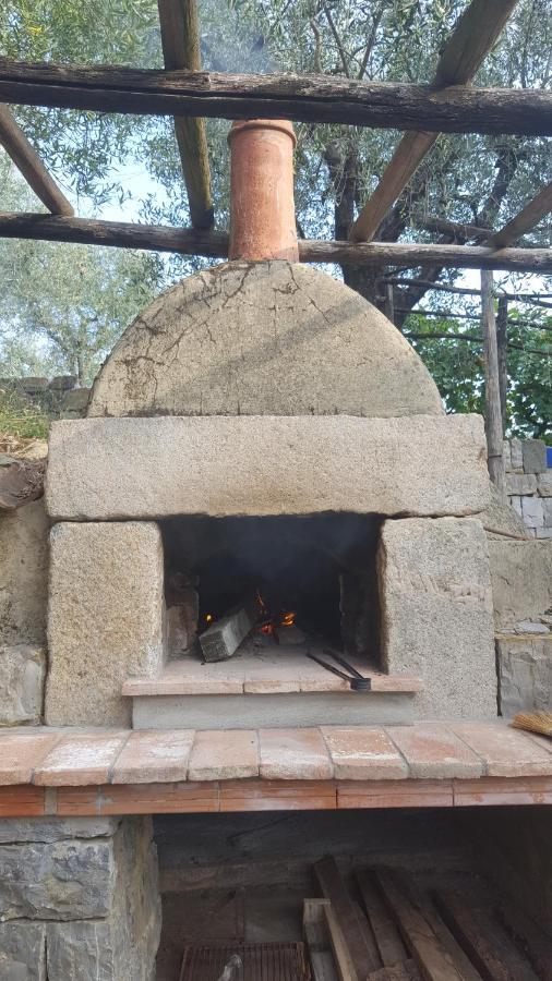 La Corte Del Falco Pieve a Nievole Luaran gambar