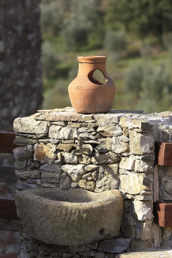 La Corte Del Falco Pieve a Nievole Luaran gambar